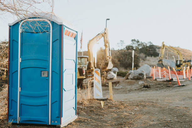 Best Affordable portable toilet rental  in Brownlee Park, MI